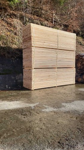 cherestea-rucar-020